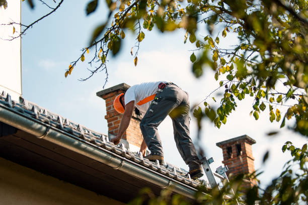 Roof Coating Services